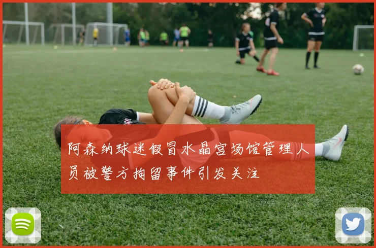 阿森纳球迷假冒水晶宫场馆管理人员被警方拘留事件引发关注