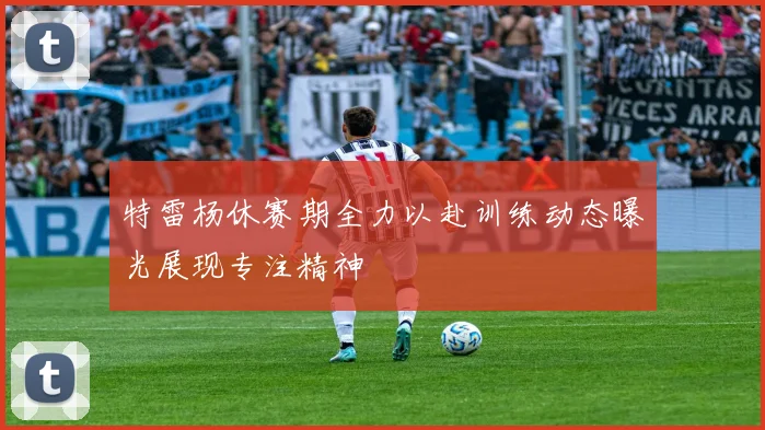 特雷杨休赛期全力以赴训练动态曝光展现专注精神