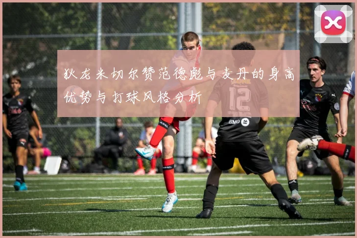 狄龙米切尔赞范德彪与麦丹的身高优势与打球风格分析