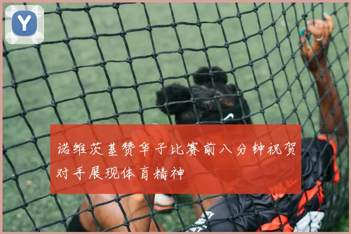 诺维茨基赞华子比赛前八分钟祝贺对手展现体育精神