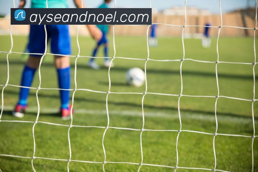 体育赛事直播